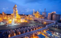 Phân bón Cà Mau: “Ngược dòng” để bứt phá