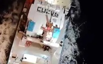 Đàn cá voi sát thủ tấn công chìm du thuyền