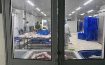 Bơm tinh chất 'hô biến' thịt trâu thành thịt bò Nhật Wagyu