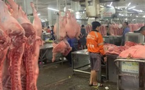 Giá heo hơi hôm nay 15.10.2025: Xuống thấp nhất trong 19 tháng qua