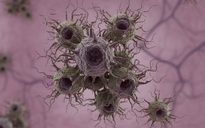 Nghiên cứu: Tìm ra cách điều trị ung thư giai đoạn cuối