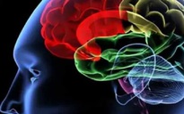Vì sao WHO kêu gọi tập trung khẩn cấp vào sức khỏe não bộ?