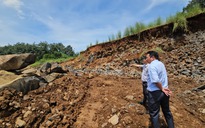 Đồng Nai: Chủ đất khai thác đá... để trồng điều?