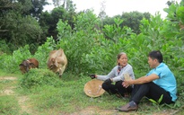 20 năm bán vé số nuôi 6 con ăn học: Rồi mẹ cũng 'tốt nghiệp' trường đời...