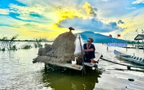 Độc đáo quán cà phê giữa cánh đồng An Giang mùa nước nổi