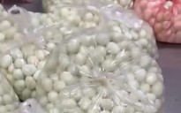 Trường dừng bán trú vì thực phẩm thiếu an toàn, phụ huynh cho con nghỉ học

