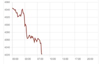 Giá vàng thế giới ‘đứt phanh’