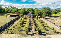 Làm sao 'đánh thức' thành Hoàng Đế?