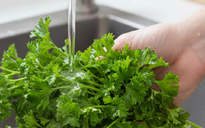 Men gan cao, ăn rau gì giúp phục hồi nhanh?