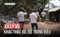 Sở NN&MT Đồng Nai kiểm tra vụ 'khai thác đá để trồng điều'