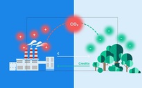 Tín chỉ carbon xe điện: Giải pháp hiệu quả giảm ô nhiễm môi trường