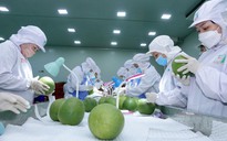 Tin tức đặc biệt trên báo in Thanh Niên 28.10.2025