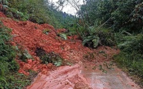 Sạt lở nghiêm trọng, gần 450 hộ dân miền núi Quảng Ngãi bị cô lập