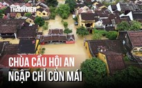 [FLYCAM] Chùa Cầu ngập chỉ còn mái, Hội An chìm trong nước lũ