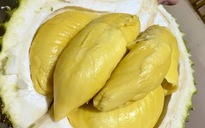 Chỉ 1 tháng, xuất khẩu sầu riêng chạm mốc kỷ lục 1 tỉ USD
