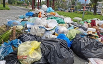 Bãi rác cạnh công viên