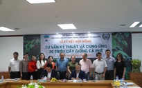 Hoàng Anh Gia Lai trồng thêm 7.000 ha cà phê tại Việt Nam và Lào