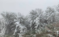 Đợt không khí lạnh mới lại về, gây mưa, rét nhiều nơi