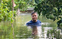 Hình ảnh xóm nhỏ Hà Nội nước vẫn ngập tới cổ sau 4 ngày