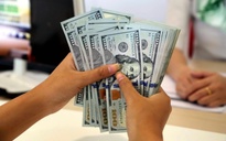 Giá USD hôm nay 31.10.2025: Tiếp tục tăng khiến EUR, bảng Anh… đi xuống