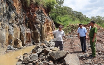 Yêu cầu xử lý vụ 'khai thác đá để trồng điều' do Báo Thanh Niên phản ánh