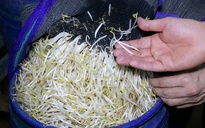 Đề xuất phạt đến 100 triệu đồng nếu bán thực phẩm gây ngộ độc