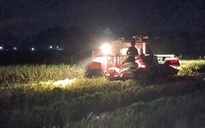 'Trắng đêm' thu hoạch lúa chạy bão số 11 (bão Matmo)