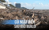 Rác, củi ngập tràn bờ biển Thanh Hóa sau bão số 10