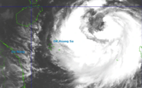 Bão số 11 (bão Matmo) mạnh cấp 11, tối mai Quảng Ninh - Ninh Bình gió mạnh