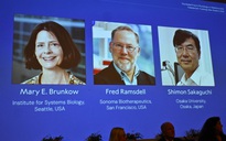 Nobel Y sinh 2025 gọi tên khám phá về khả năng dung nạp miễn dịch ngoại biên