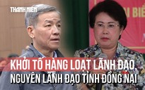 Khởi tố hàng loạt lãnh đạo, nguyên lãnh đạo tỉnh Đồng Nai