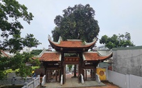 Chùa Linh Phong Thiền Uyển, nơi trưởng lão hòa thượng Thích Trí Tịnh khai sơn