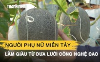 Người phụ nữ miền Tây làm giàu từ dưa lưới công nghệ cao