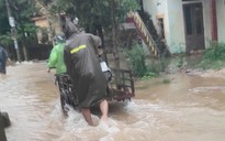 Quảng Trị: Ngập sâu, người dân Phong Nha khiêng heo chạy lũ