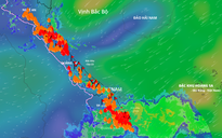 Dự báo Biển Đông sắp có bão số 13, miền Trung mưa lớn 700 mm