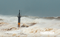 Biển Đông có thể 'gánh' 2 - 3 cơn bão trong tháng 11