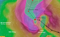 Bão số 14 (bão Fung wong) có ảnh hưởng tới đất liền nước ta?