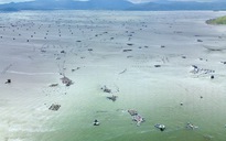 Thủ phủ tôm hùm Sông Cầu tan tác sau bão: Lồng bè cuốn trôi, ngư dân chết lặng