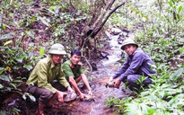 Đưa thú về Vườn quốc gia Kon Ka Kinh