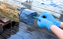 Phát hiện dấu vết bí ẩn của sự sống ở nơi không ngờ đến