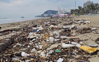 Rác đại dương 'bao vây' công viên nghìn tỉ ở Bãi Sau Vũng Tàu