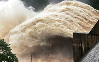 Không chỉ công suất điện gió, điện than và điện khí cũng bị cắt giảm mạnh