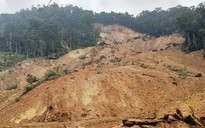 Đà Nẵng: Xác định danh tính 3 người nghi bị vùi lấp sau vụ sạt lở núi