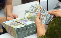 Giá USD hôm nay 15.11.2025: Ngân hàng bán ra kịch trần