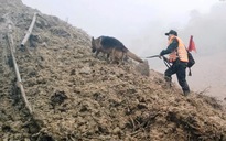 Sạt lở núi ở Đà Nẵng: Tạm dừng tìm kiếm các nạn nhân mất tích