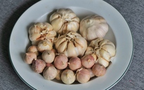 Chi 353 tỉ/tháng ăn tỏi nhập khẩu, vì sao người Việt chuộng tỏi Trung Quốc?