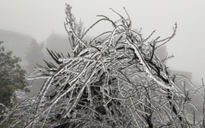 Đón không khí lạnh cực mạnh, miền Bắc rét 6 ngày, vùng núi dưới 5 độ C