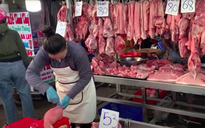 Giá heo hơi hôm nay 19.11.2025: Thị trường khởi sắc 