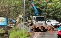 Khẩn cấp gia cố điểm sạt lở đèo Mimosa trên đường lên Đà Lạt