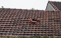 Biển nước phủ kín Đắk Lắk: Những khoảnh khắc ngập sâu khiến ai chứng kiến cũng nghẹn lại